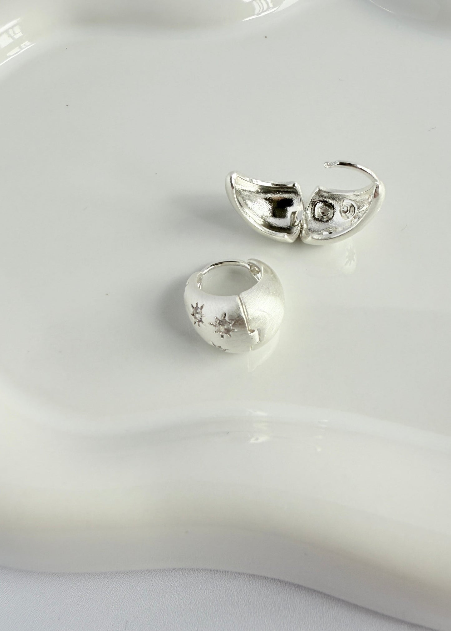 Zircon Star Frosted Earrings