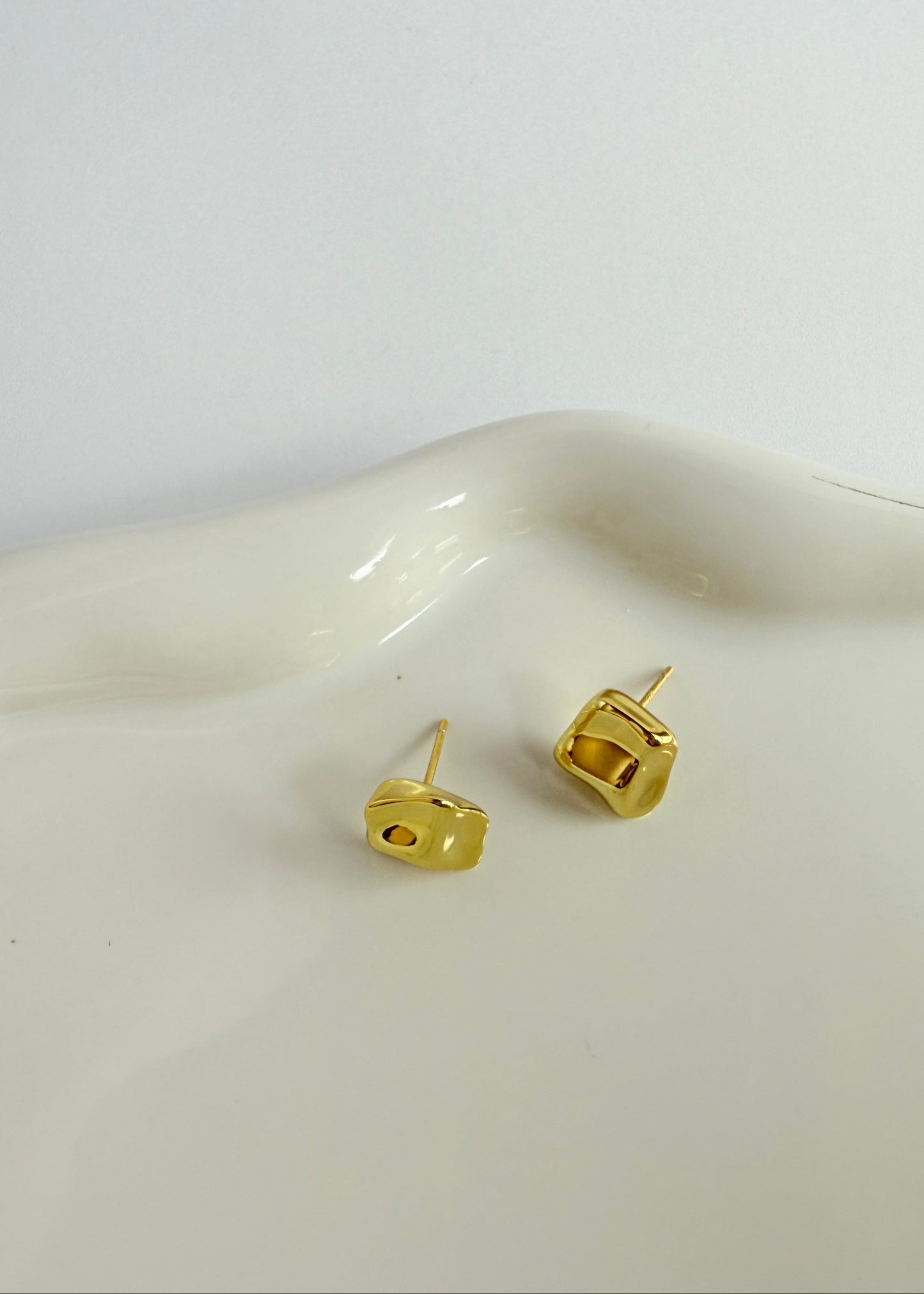 Small Meteorite Earrings
