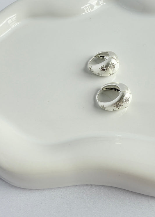 Zircon Star Frosted Earrings