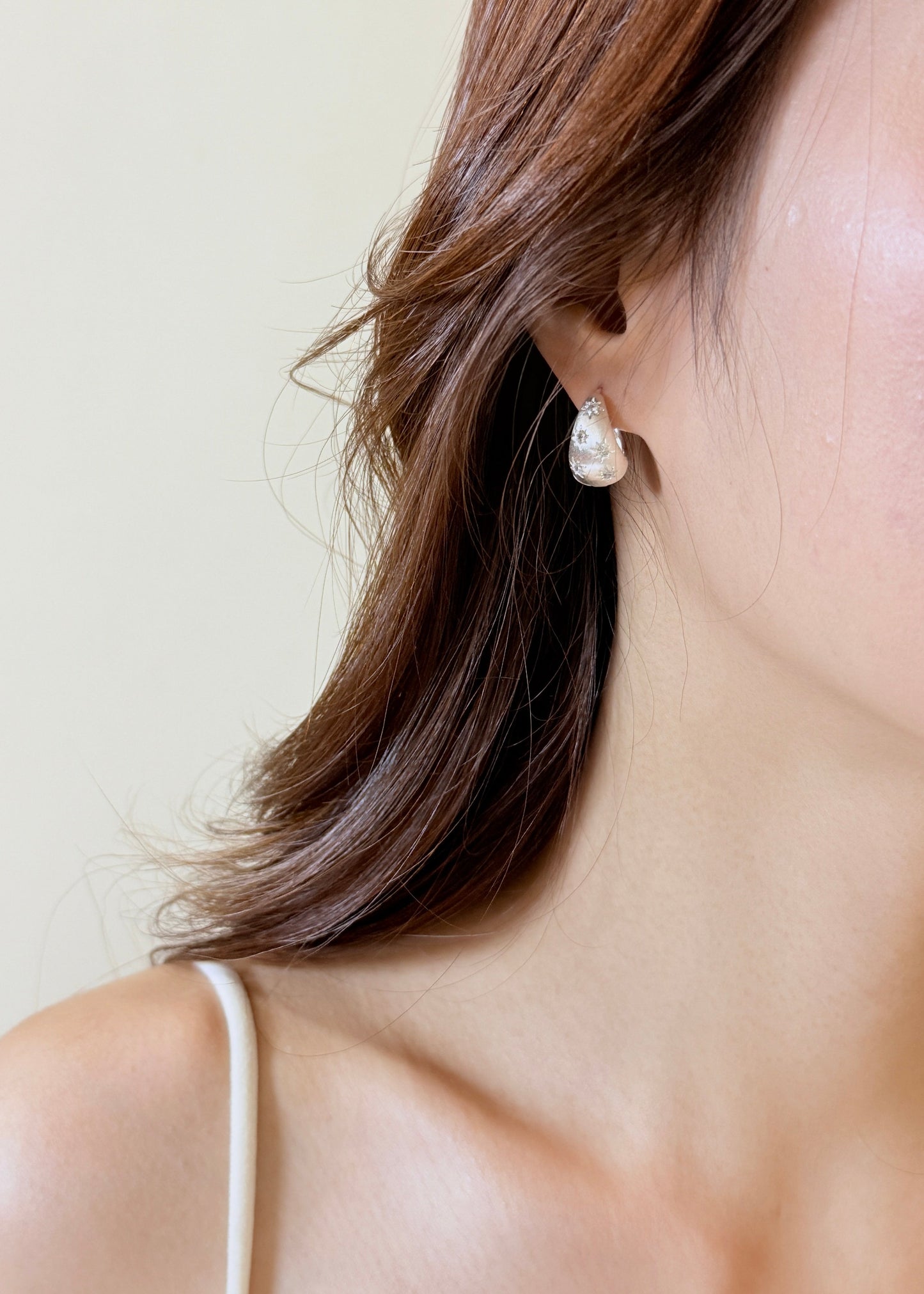Zircon Star Frosted Earrings