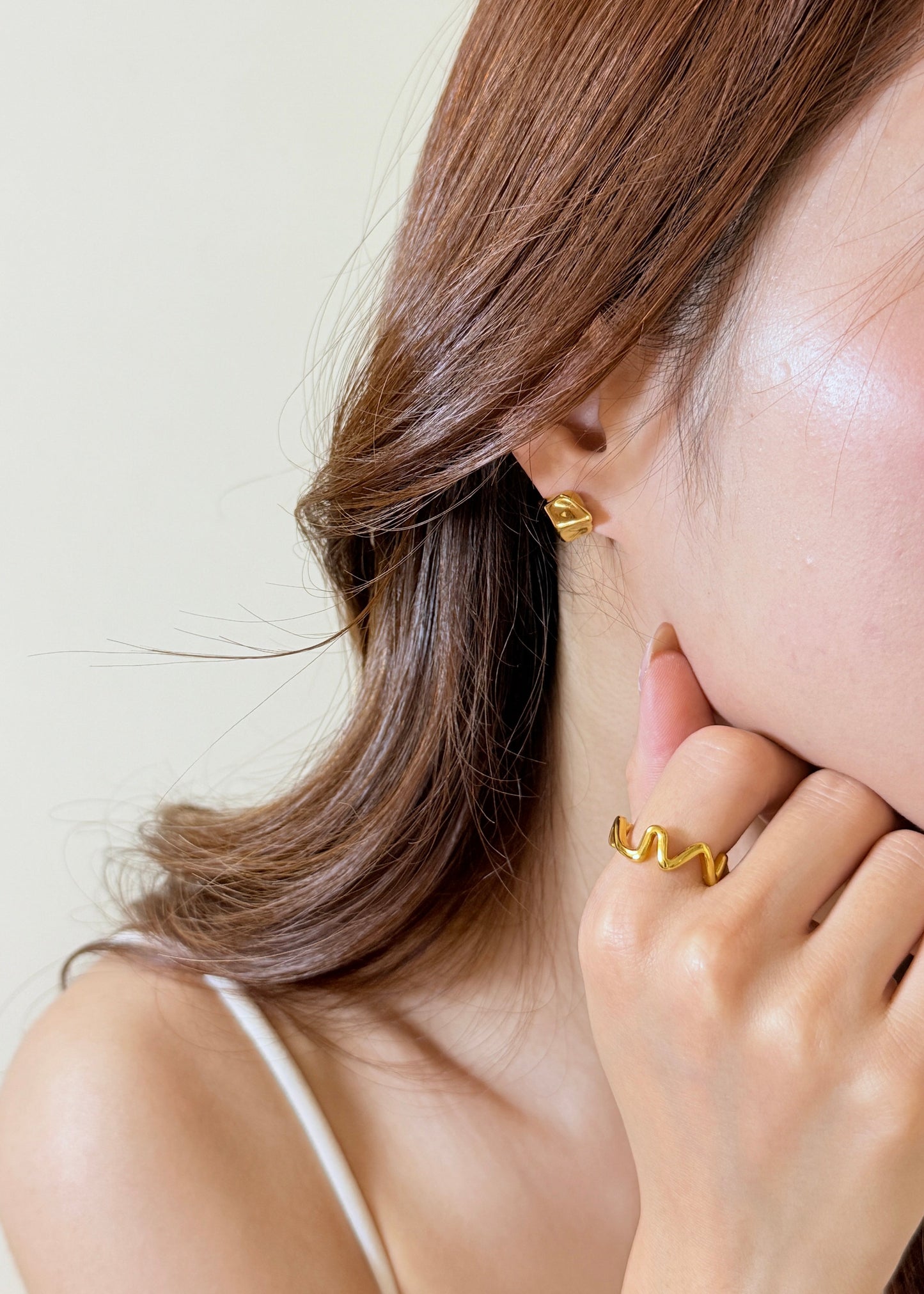 Small Meteorite Earrings